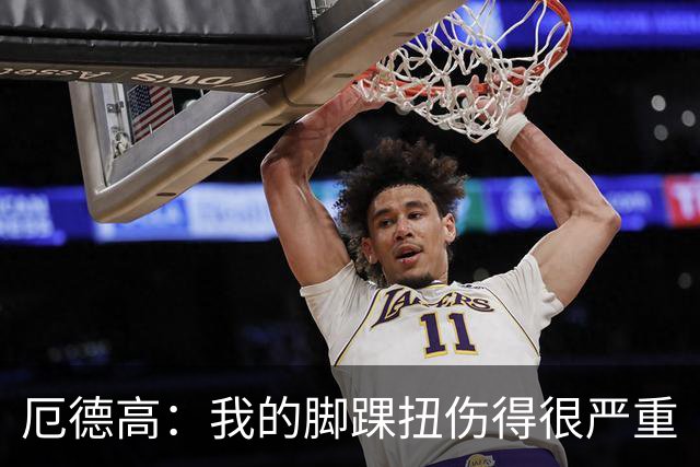 厄德高：我的脚踝扭伤得很严重