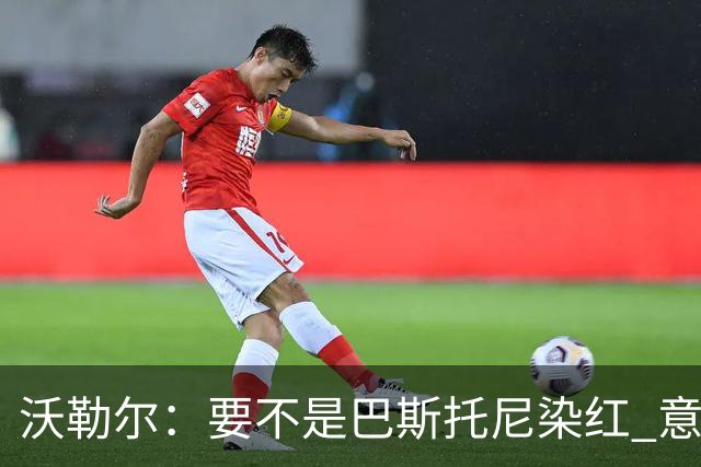 沃勒尔：要不是巴斯托尼染红 意大利能进 德国想拿小组第一不容易